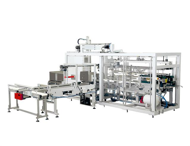 DP-C10 Series Baby & Adult Diaper Pads Fully Automatic Carton Packing Machine