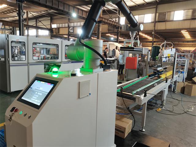 Robot Palletizer Machine