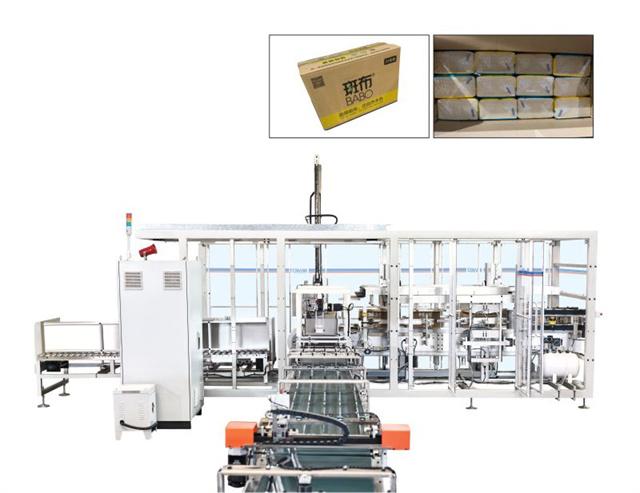 TP-C20 Tissue Paper Towel Carton Packing Machine Case Packer