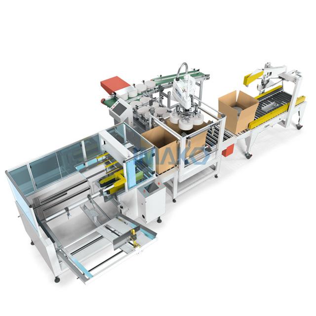 Toilet Paper Carton Packing Machine